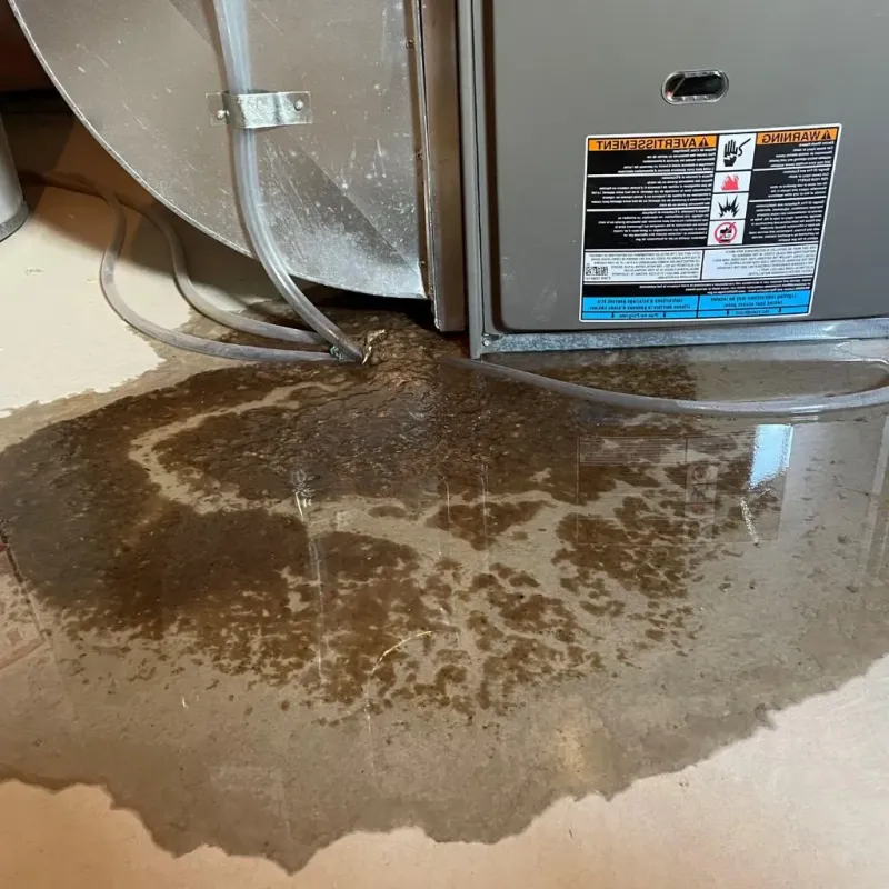 Pipe Burst and Leak Restoration in Fairfield Bay, AR